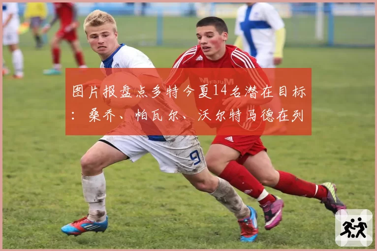 图片报盘点多特今夏14名潜在目标：桑乔、帕瓦尔、沃尔特马德在列