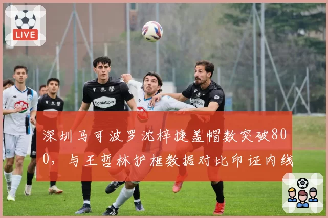 深圳马可波罗沈梓捷盖帽数突破800,与王哲林护框数据对比印证内线角色转型