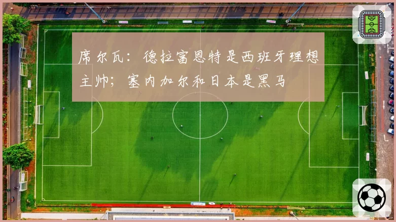 席尔瓦:德拉富恩特是西班牙理想主帅;塞内加尔和日本是黑马