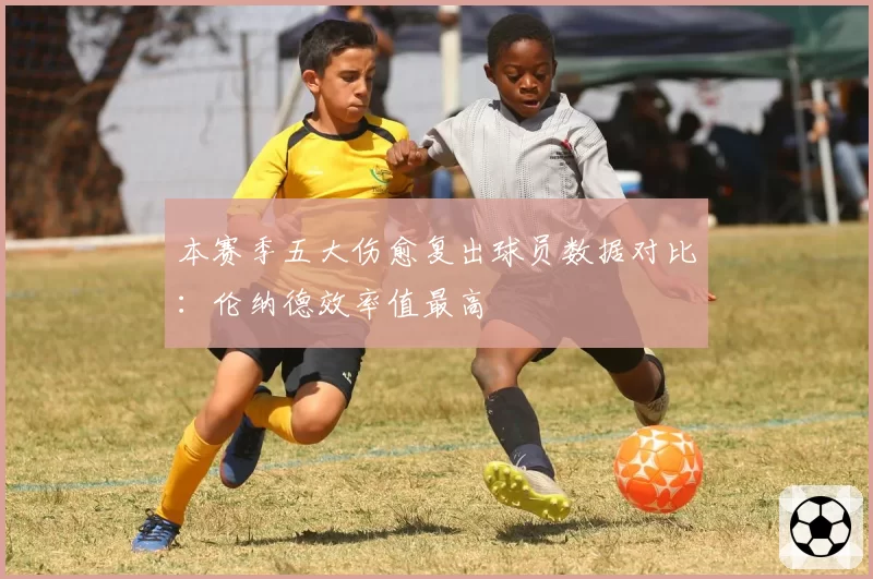 本赛季五大伤愈复出球员数据对比：伦纳德效率值最高